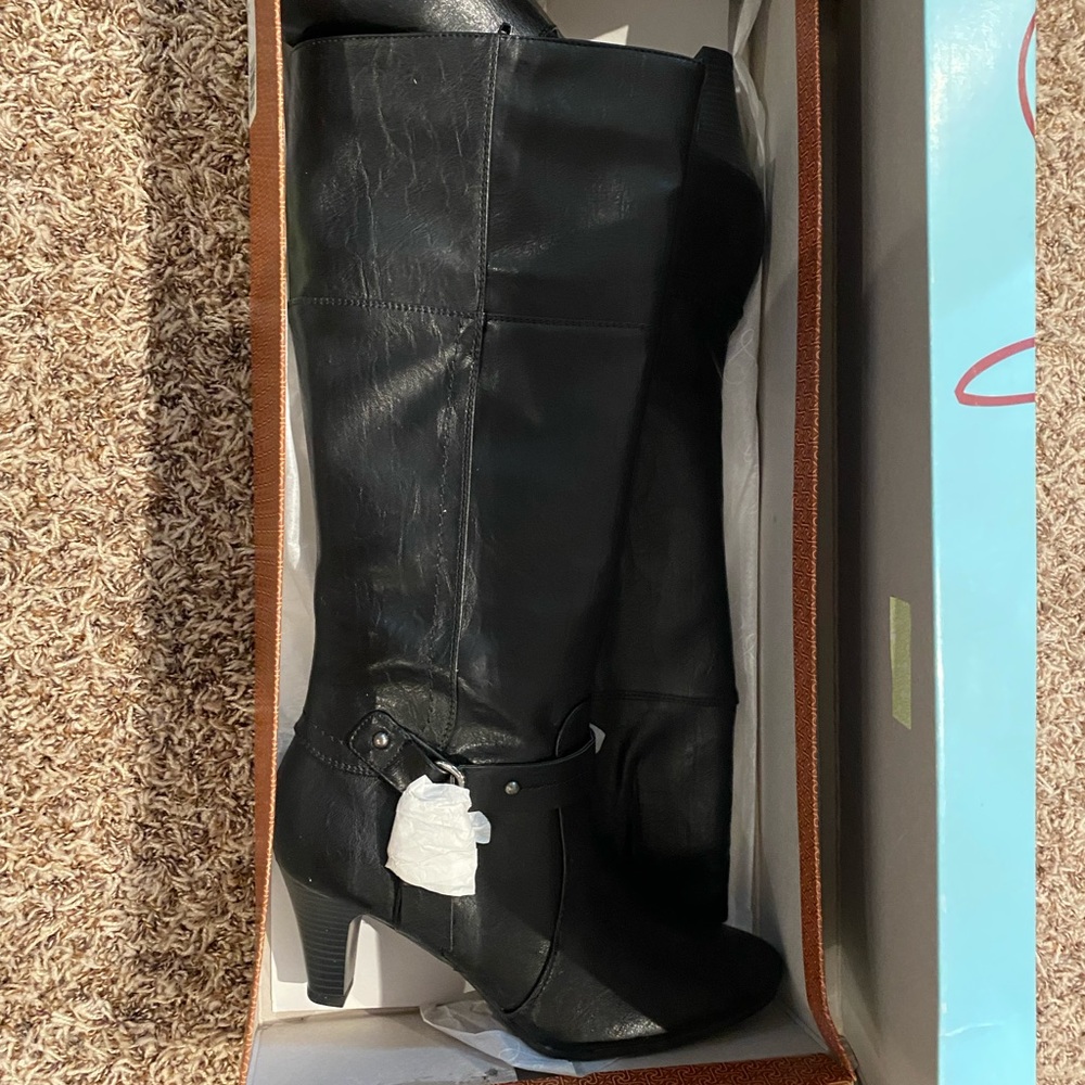 NWT Boots